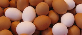 Complete And Incomplete Protein Explained
