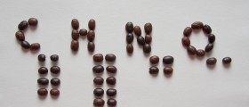 Caffeine Bomb: What Caffeine Does For You and To You
