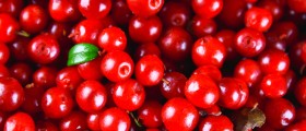 Can Drinking Cranberry Juice Help Treat UTIs?