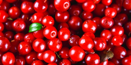 Can Drinking Cranberry Juice Help Treat UTIs?