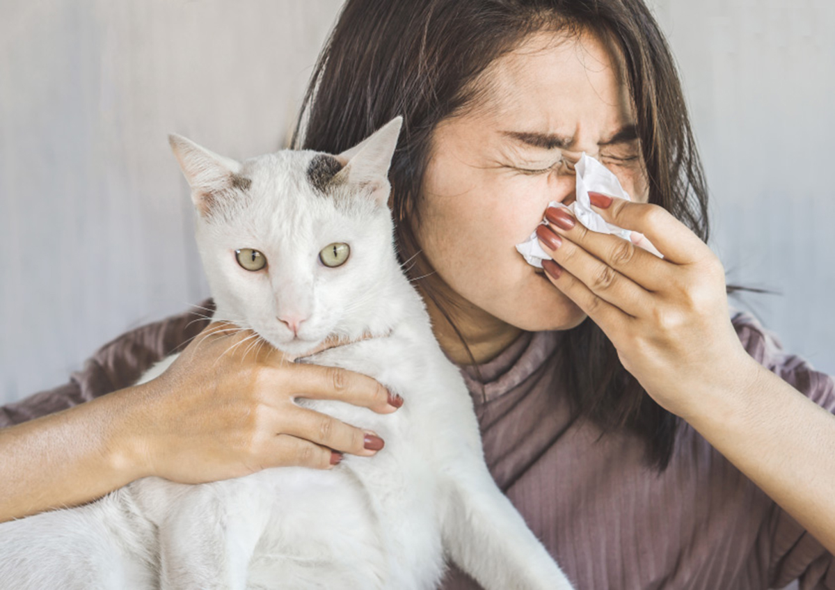 5 Natural Remedies To Try If You’re Struggling With Pet Allergies