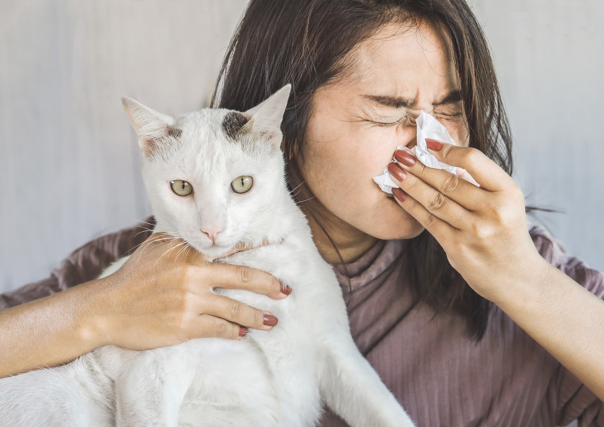 Can Cat Allergies Affect Your Lungs at Philip Young blog