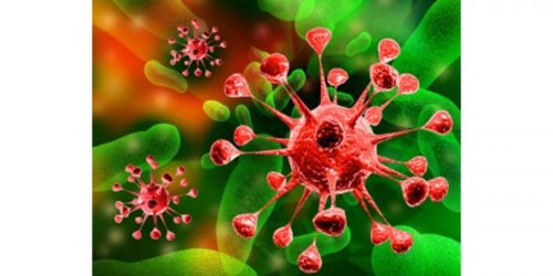 Basic Information About Salmonella Food Poisoning