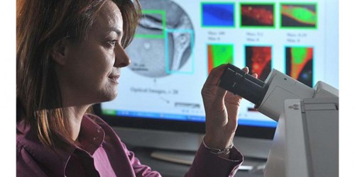 Scientists Can Identify DNA Changes That Signal The Existence Of Cancer Tumors