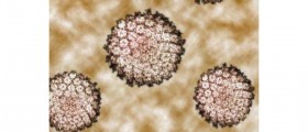Is Cancer Contagious?