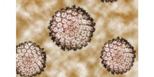 Is Cancer Contagious?