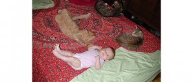 Can your cat safely sleep in your baby's crib?