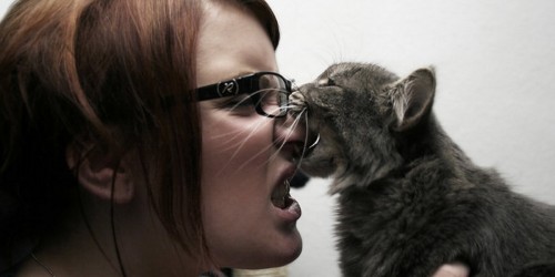 How Serious Can A Cat Bite Be?