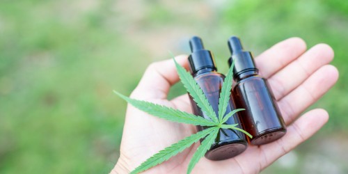 Cannabidiol: The Potential Benefits And Side Effects Of Using CBD Oil And Other CBD products