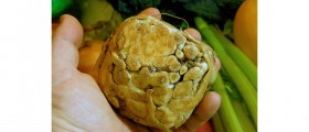 Health Benefits and Uses of Celery Root