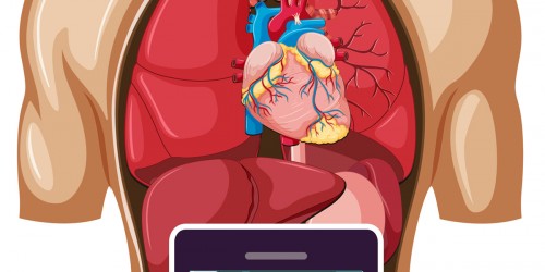 Never-ending Debate: Do Cell Phones Harm Your Health?