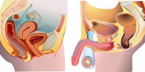 Cervical Cancer: Treatment, Symptoms and Causes