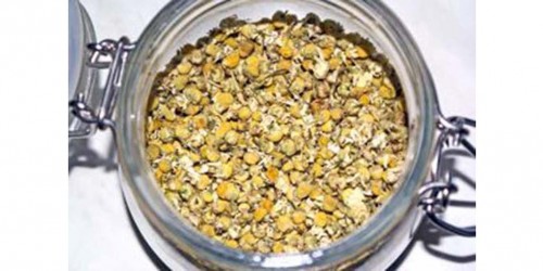 Holistic Approach to Anxiety: Naturopathic Medicine for Nervousness, Fear, Apprehension & Worrying