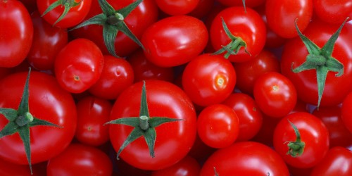 Tomatoes And Cancer Prevention