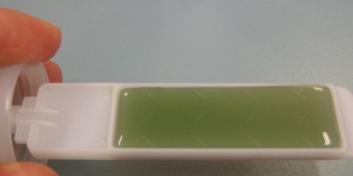 Green Urine!? Foods, Medications, And Health Conditions That Make You Pee Green