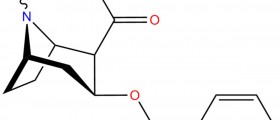 About Cocaine