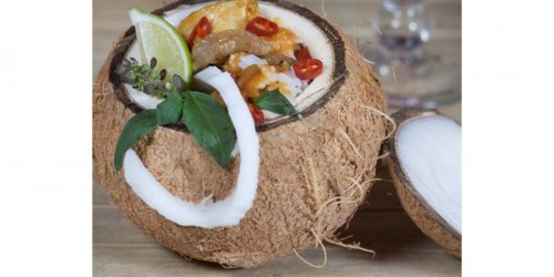 Coconut - The Tree of Life