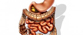 Nutrition in preventing colon cancer