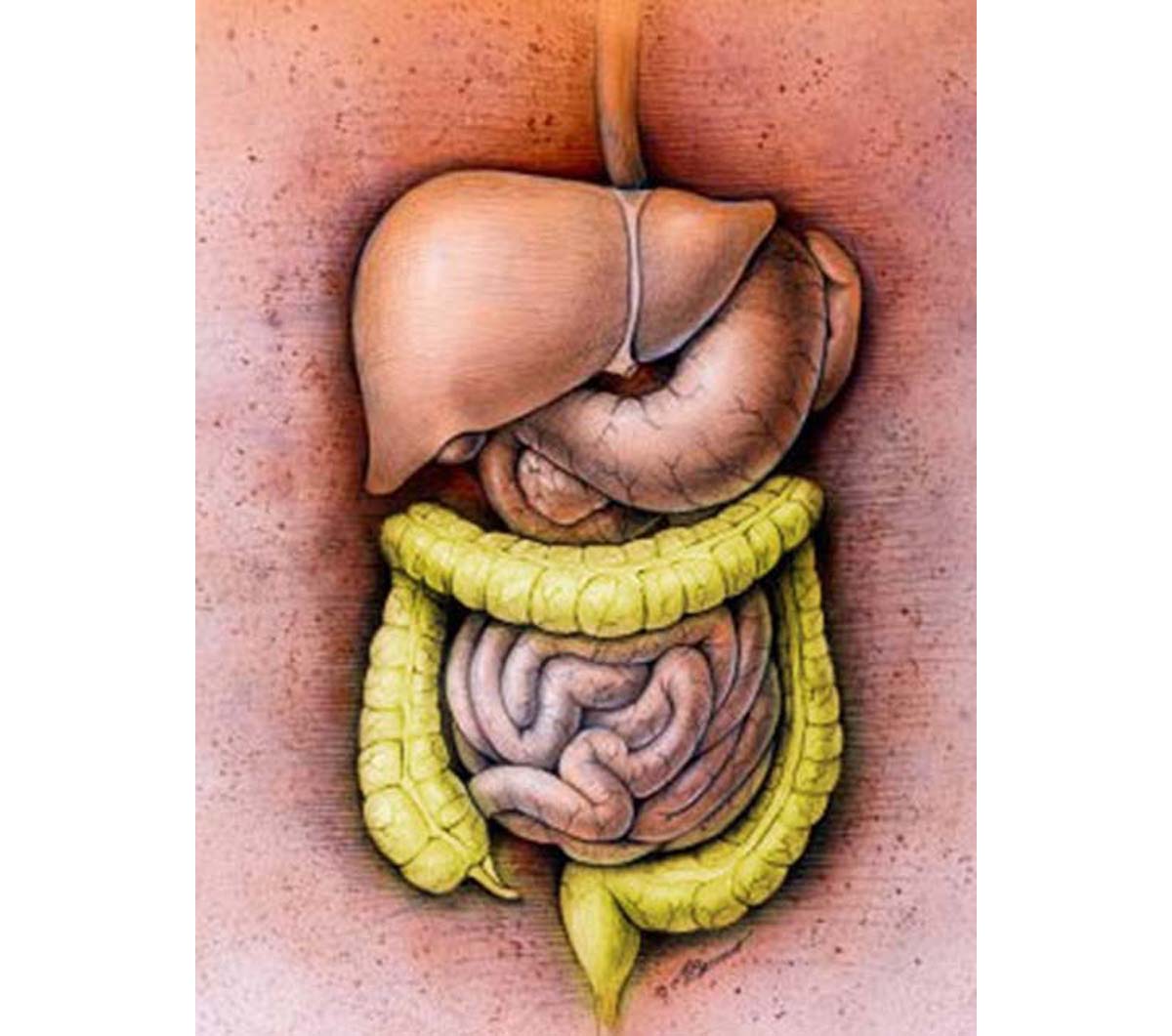 colon-hydrotherapy-gastrointestinal-disorders-articles-body