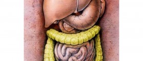 Colon Hydrotherapy