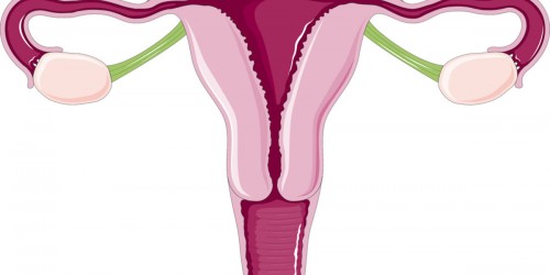 Possible causes of uterus enlargement