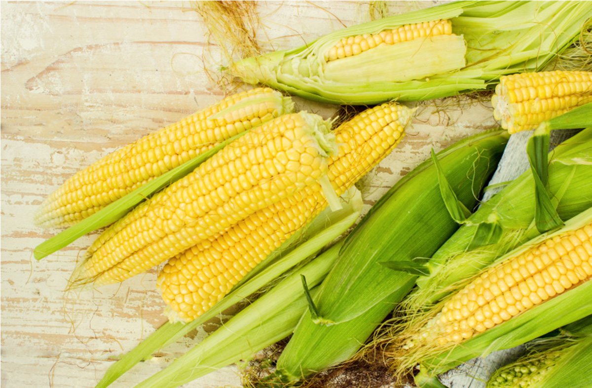 Corn Allergy Overview Triggers, Treatment, and Management Allergies