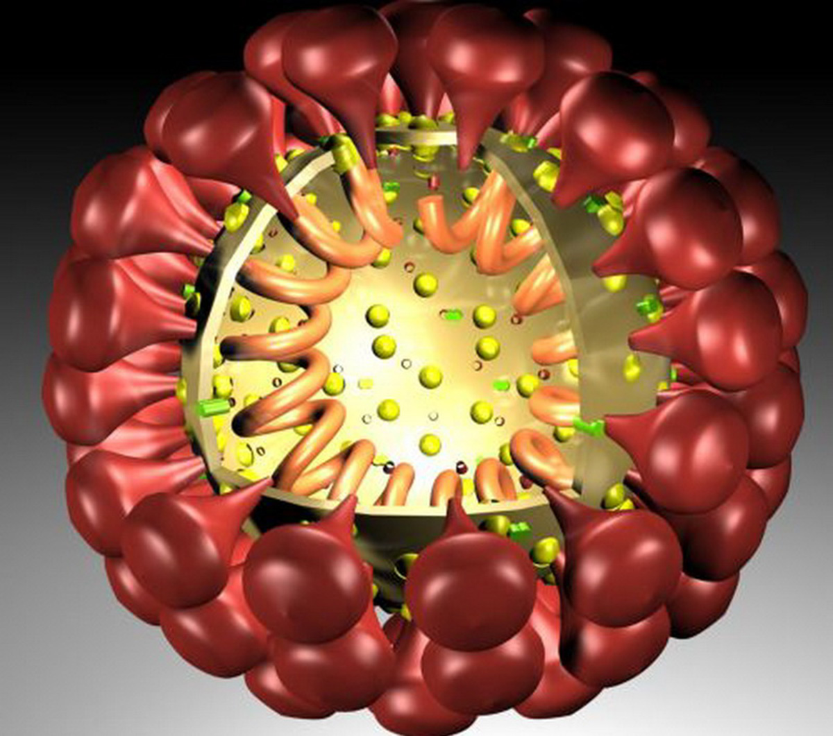 First US MERS Case: Should You Be Scared? | Respiratory tract disorders and diseases ...1200 x 1061