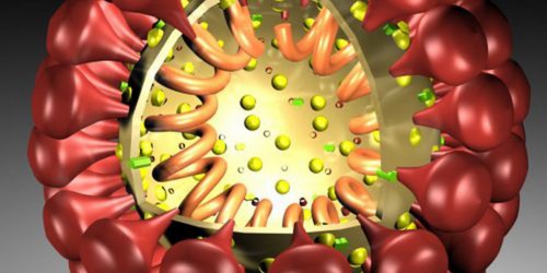First US MERS Case: Should You Be Scared?