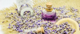 Could Lavender Help Alleviate Anxiety Symptoms?