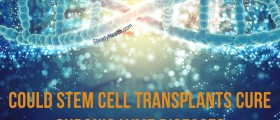 Could Stem Cell Transplants Cure Chronic Lyme Disease?