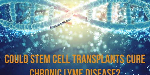 Could Stem Cell Transplants Cure Chronic Lyme Disease?