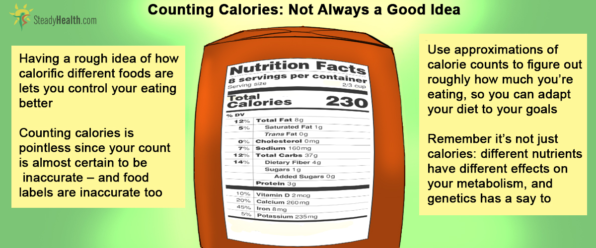 why-counting-calories-doesn-t-work-to-lose-weight-fab-healthy-lifestyle