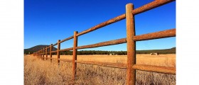 Living In The Country Is Not Healthier Than Living In The City