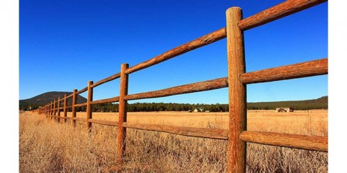 Living In The Country Is Not Healthier Than Living In The City