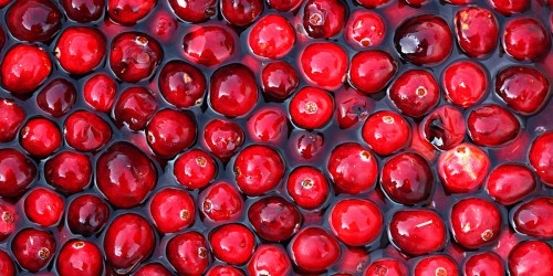 Kitchen Cabinet Cures: Household Remedies for Common Health Problems