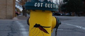 Myths And Facts About Bug Spray