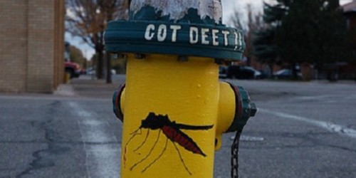 Myths And Facts About Bug Spray