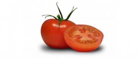 Low Carb Diet Recipes