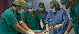 Placenta Contains Diverse Bacterial Population