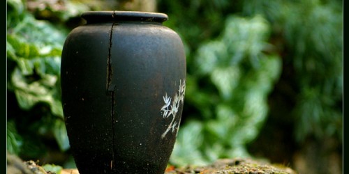 Using dong quai to boost fertility