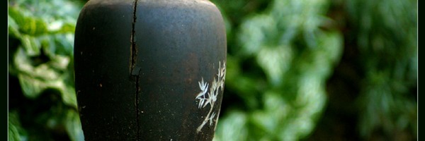 Using dong quai to boost fertility