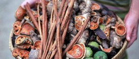 Ayurveda: Does It Have A Place In Modern Society?