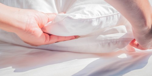 Dust Mite Allergy: Things You Should Know About Treatment and Management