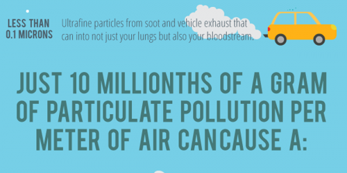 Particulate Pollution Linked to Cancer, Premature Births