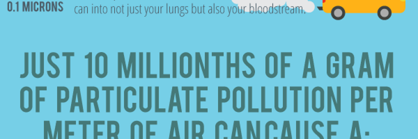 Particulate Pollution Linked to Cancer, Premature Births