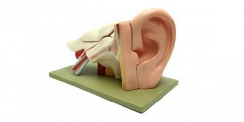 List of Home Remedies for Ear Infection