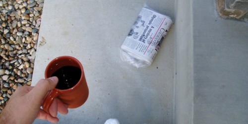 Early Bird Vs Night Owl: The Fascinating Science Behind Sleep-Wake Patterns