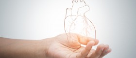 Eating Disorders And Cardiovascular Health: How Eating Disorders Impact Your Heart