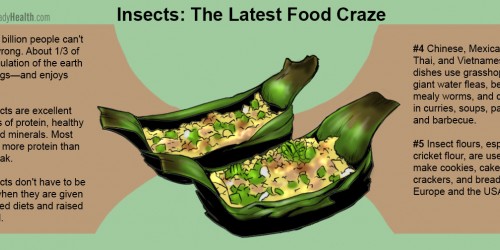 Are Bugs The New Food Craze? The Benefits Of Eating Insects, And Which Insects To Eat