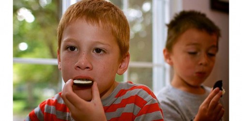 Oreos Are Addictive, Connecticut College Students Find